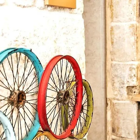 The Maltese Shield * Sliema